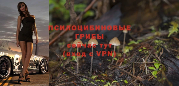 героин Богданович