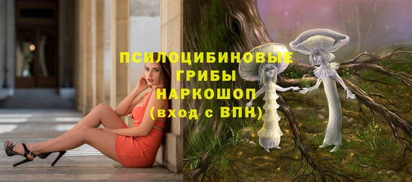 героин Богданович