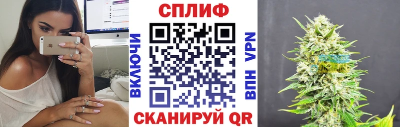 купить наркотики сайты  Тулун  Бошки Шишки сатива 